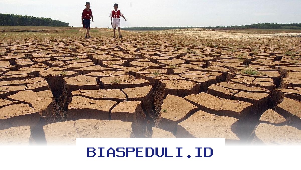 BMKG Ungkap Fakta Baru Soal El Nino "Godzilla" yang Dikhawatirkan Serang Indonesia!