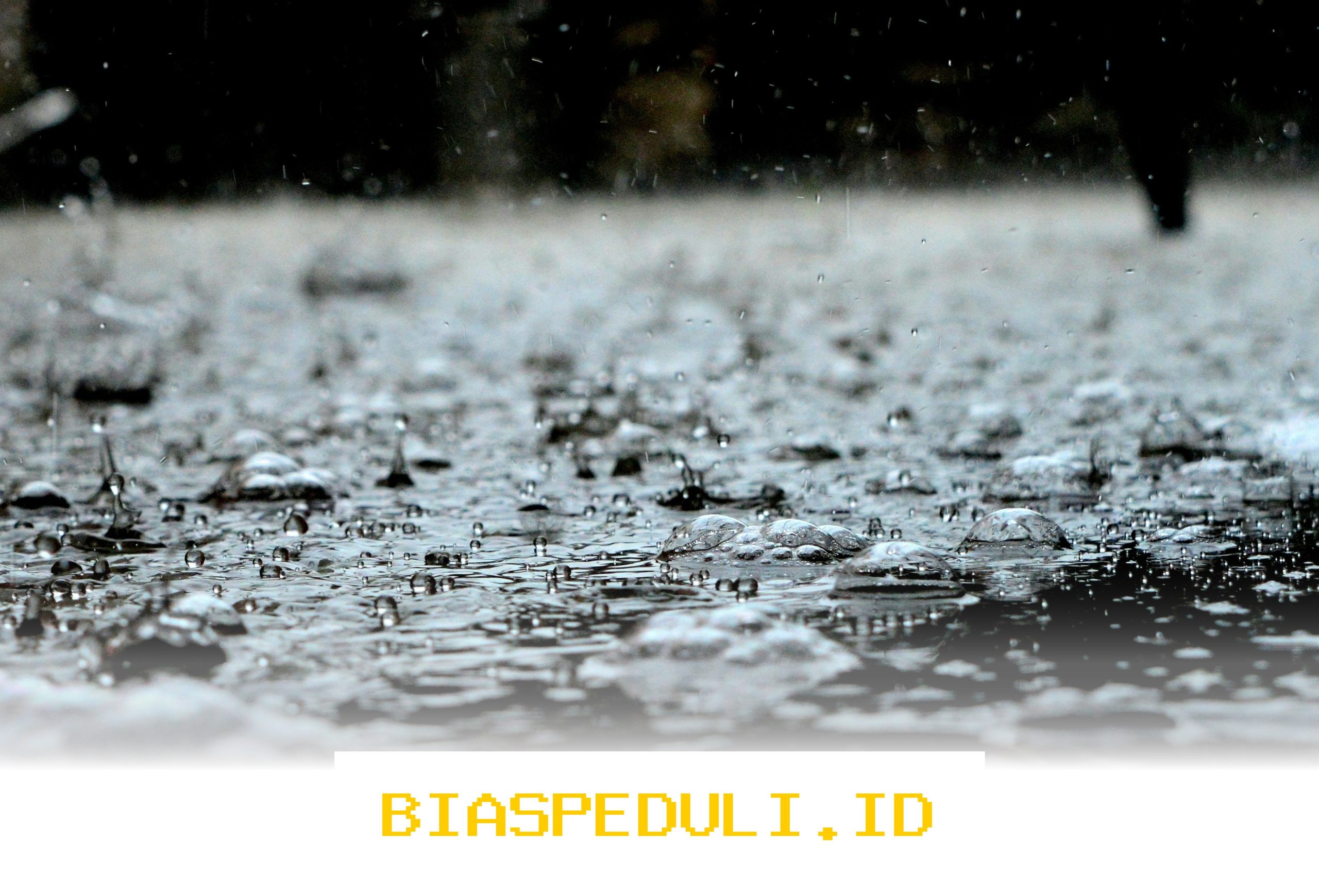 Cuaca Bogor Hari Ini Siang Panas Terik dan Malam Sejuk, Waspada!