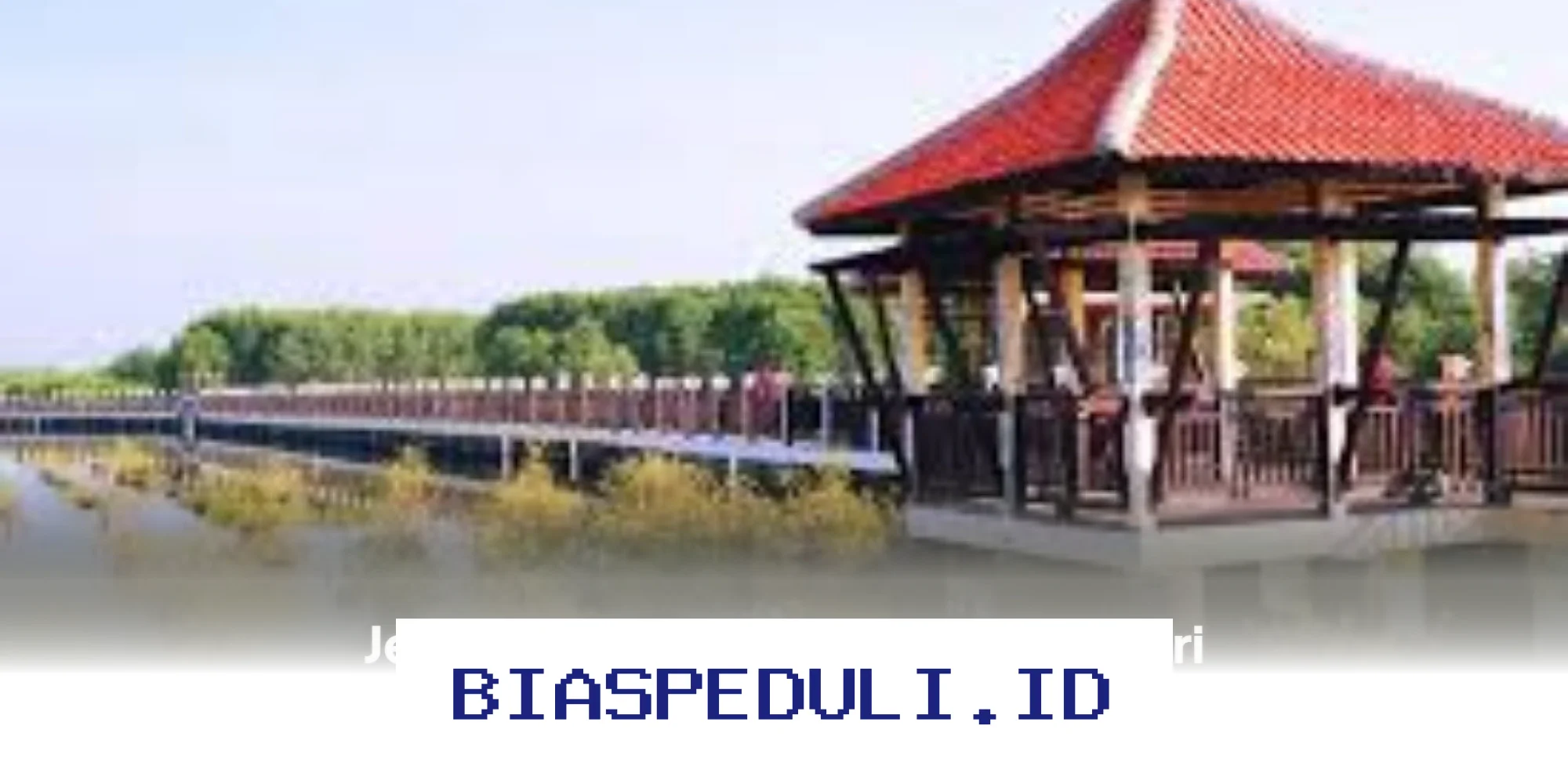 Destinasi Wisata Pekalongan yang Wajib Dikunjungi, dari Keindahan Alam hingga Budaya Lokal yang Memikat!