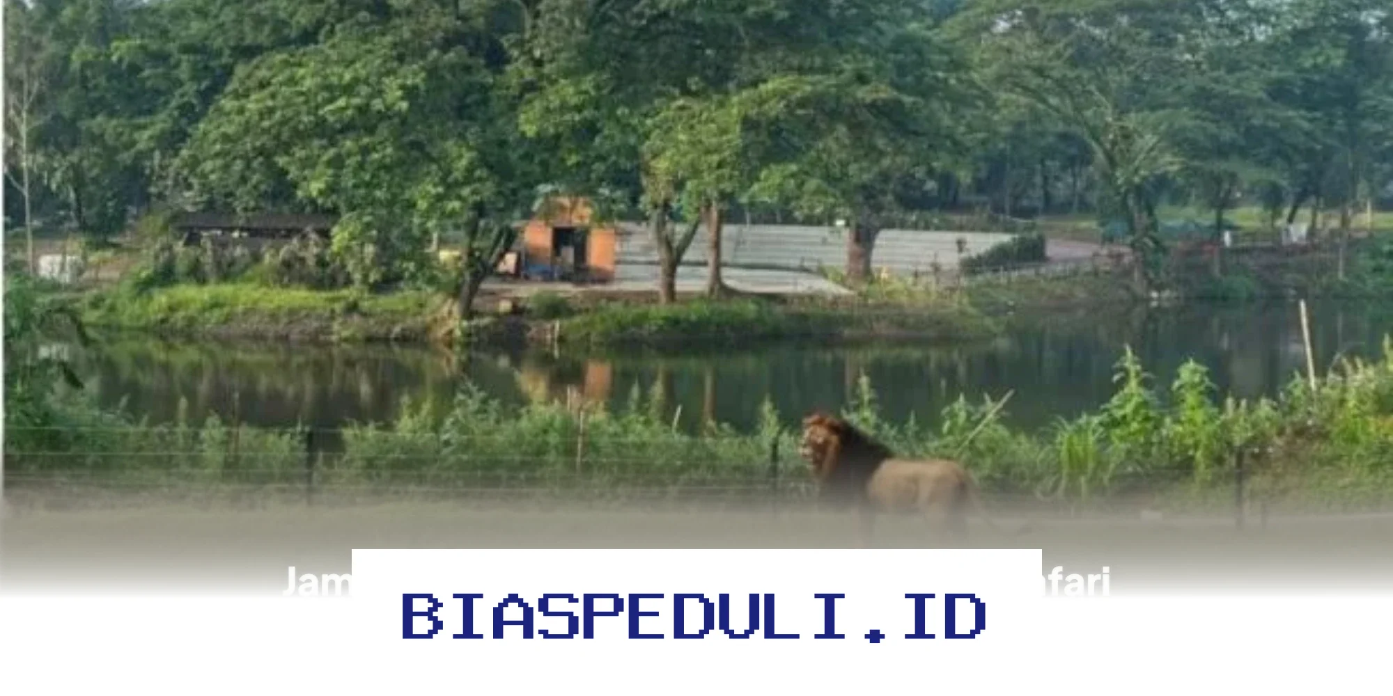 Info Terbaru Jam Buka dan Harga Tiket Solo Safari saat Lebaran 2026, Jangan Sampai Ketinggalan!