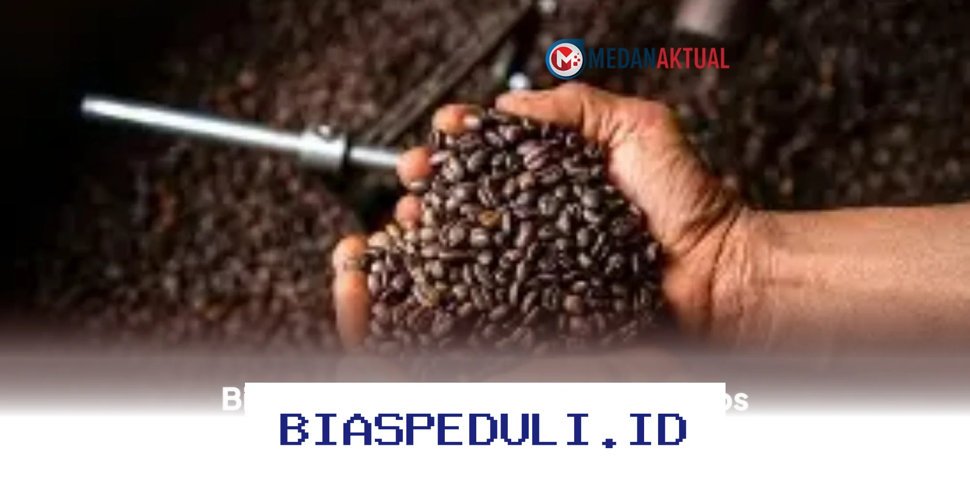 Ingin Kopi Enak dan Nikmat? Ini Dia Cara Memilih Biji Kopi Terbaik yang Wajib Kamu Tahu!