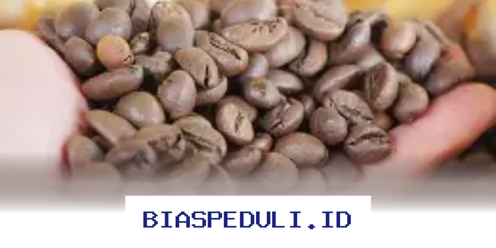 Inilah Jenis Biji Kopi Langka yang Bisa Jadi Alternatif Nikmat Selain Arabika dan Robusta!