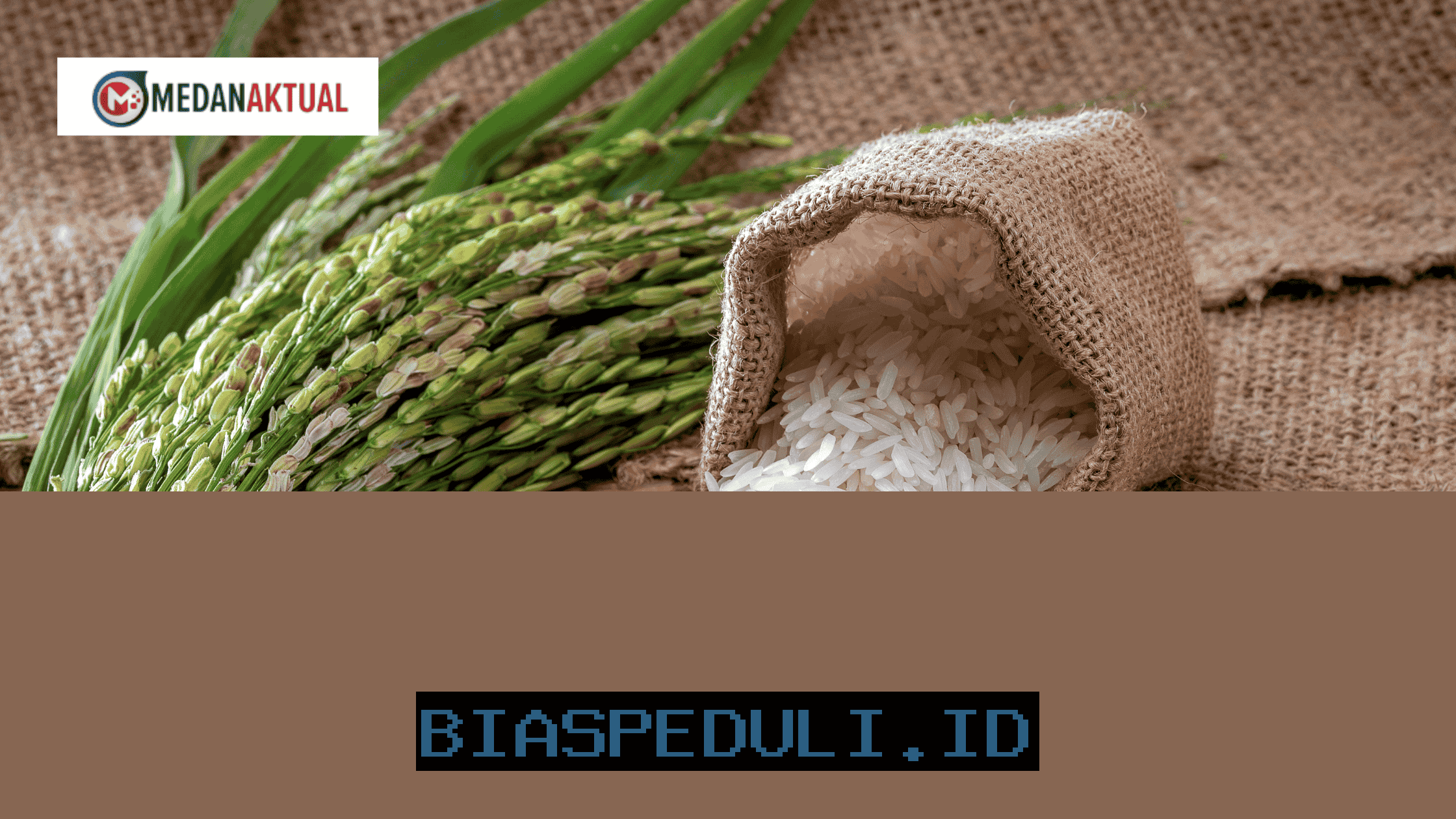 Jadwal Penyaluran Bansos Beras 2026 Sudah Bisa Diprediksi, Kapan Ya?