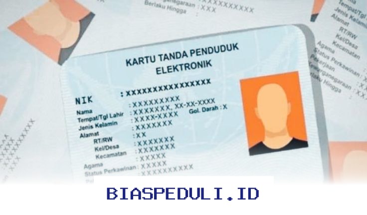 Panduan Lengkap Update Status Desil DTSEN 2026 via Online dan Offline!