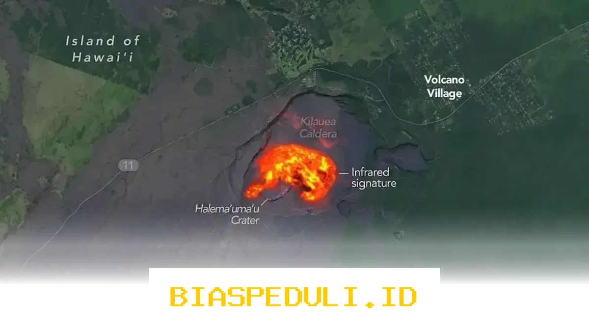 Prediksi Skor A-League Pekan ke-22: Duel Sengit Mana yang Berhasil Raih Kemenangan?