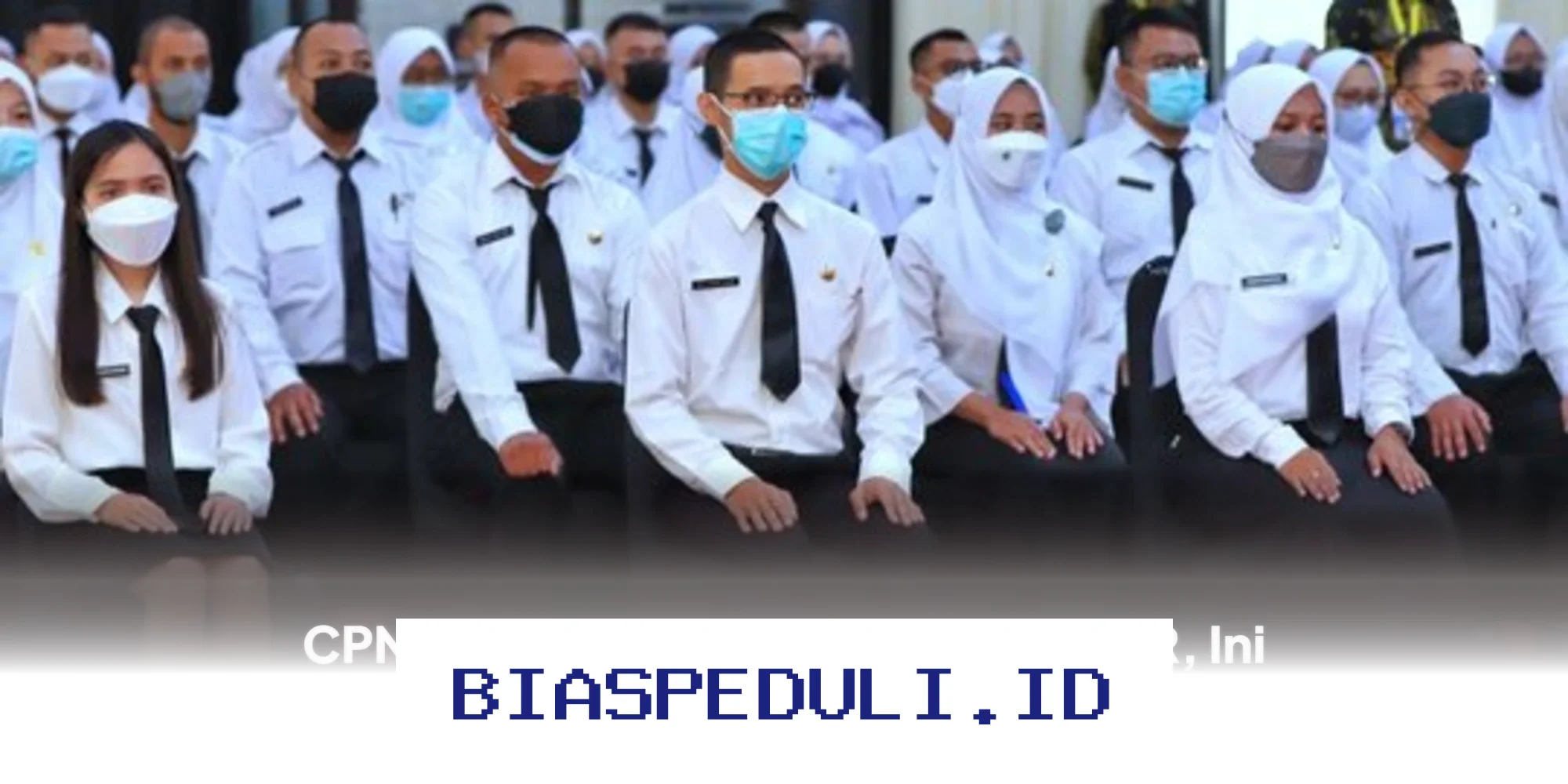 THR CPNS 2026 Siap Dibagikan, Simak Penjelasan Resminya!