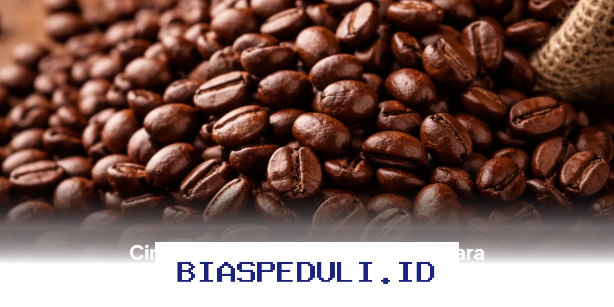 Waspada! Begini Cara Mengenali Biji Kopi Basi dan Trik Simpan yang Tepat agar Selalu Segar