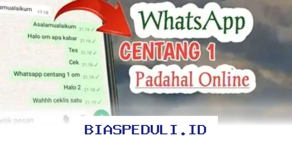 Mengapa WhatsApp Centang 1 Masih Online? Ini Triknya!