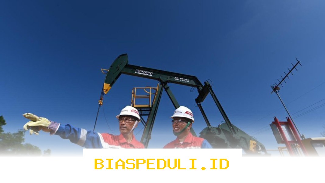Sumur TOPI-002 PHR Raup Produksi Awal 795 Barel/Hari, Ini Fakta Menariknya!